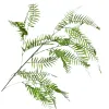 The office space is decorated with creative creative garden fern ornaments. The green plants require no maintenance and have a simple style details Picture